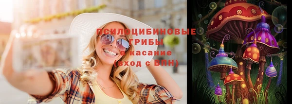 крисы Арсеньев