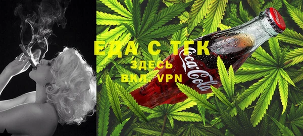 дмт Аркадак