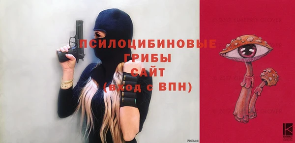дмт Аркадак