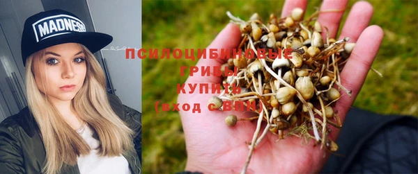 крисы Арсеньев