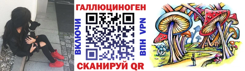 даркнет сайт  Баймак  Псилоцибиновые грибы GOLDEN TEACHER 